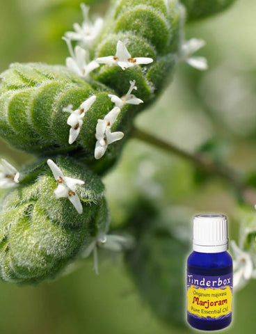 Marjoram Essential Oil 15mL
