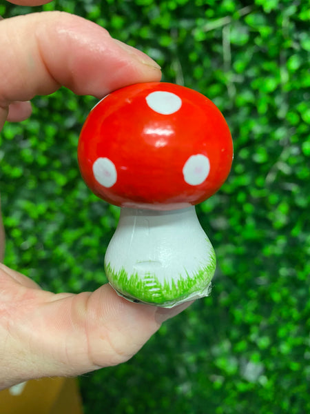 Small mushrooms