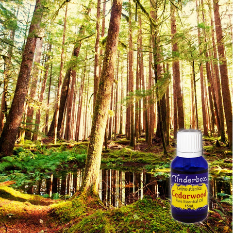 Cedarwood Essential Oil 15mL (atlantica)