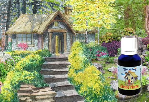 Divine home Essential Oil