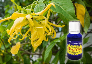 Ylang Ylang Essential Oil 15mL