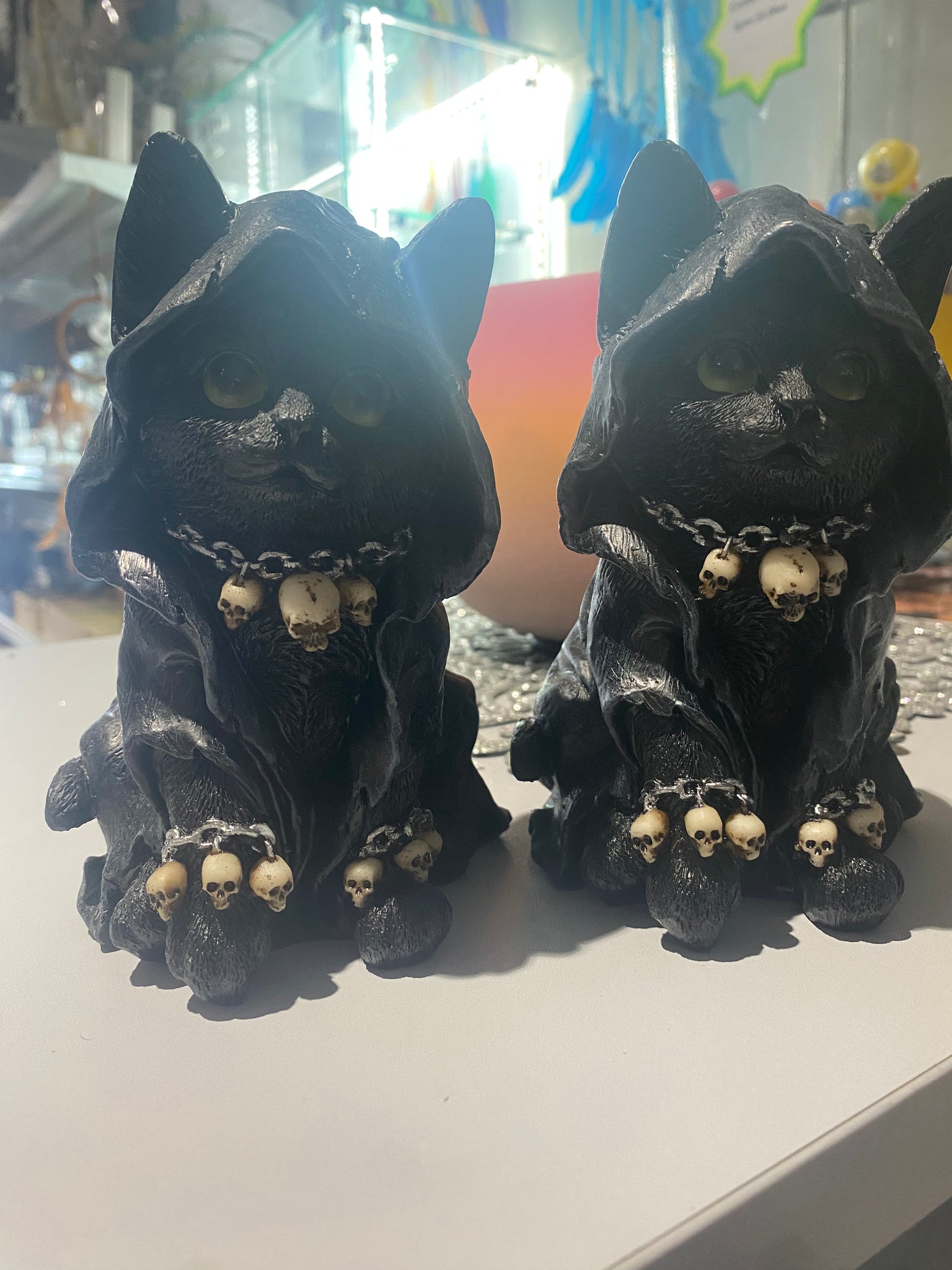 Cat witch
