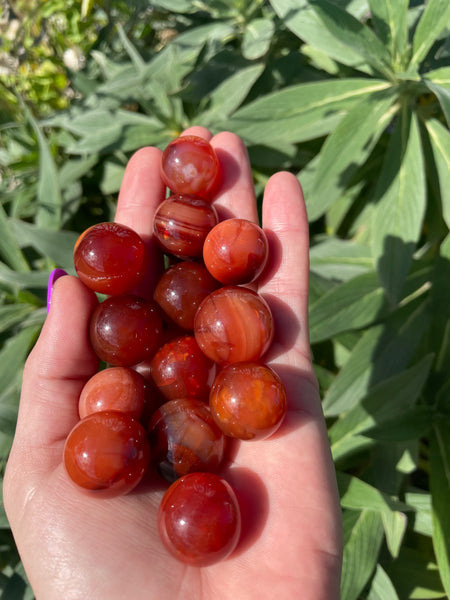 Red Carnelian Sphere Sml