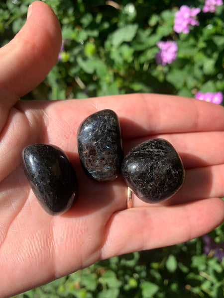 Arfvedsonite Tumbled