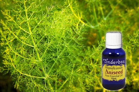 Aniseed Essential oil