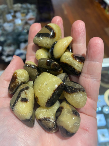 Septarian Tumbled