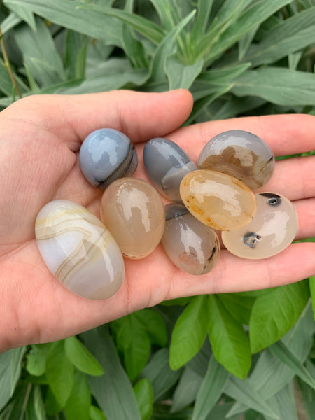Dendritic Agate Tumbled
