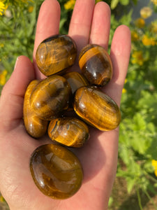 Tiger eye Tumbled