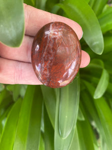 Red Jasper Palm Stone