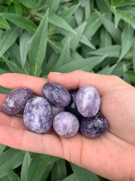 Lepidolite Tumbled