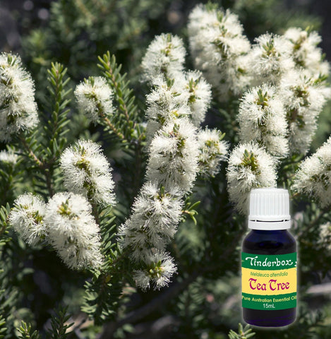 Tea-Tree Essential Oil Australian 15ml