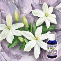 Jasmine essential oil