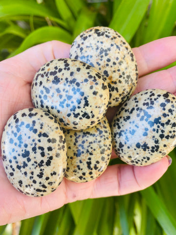 Dalmatian Jasper Palm Stone