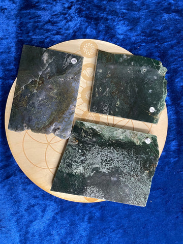 Moss Agate Slices $65.00ea