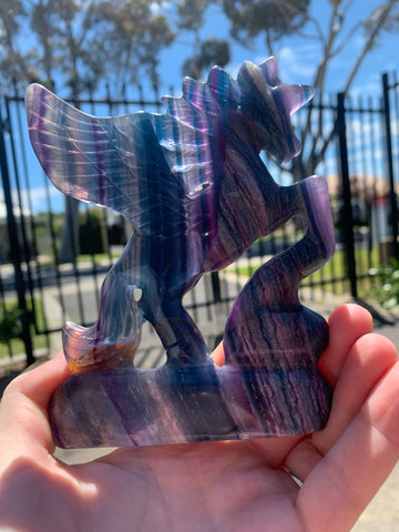 Rainbow Fluorite Pegasus