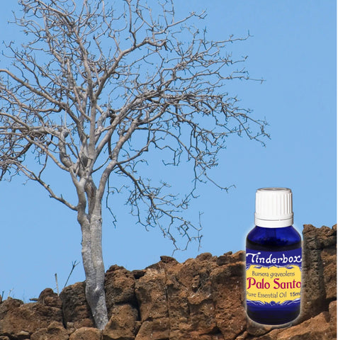 Palo Santo Essential Oil 15mL