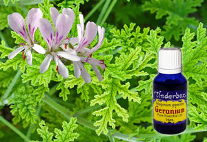 Geranium Essential Oil 15mL