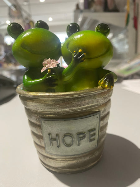 Frog in a pot