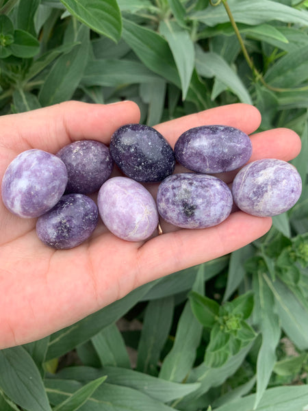 Lepidolite Tumbled
