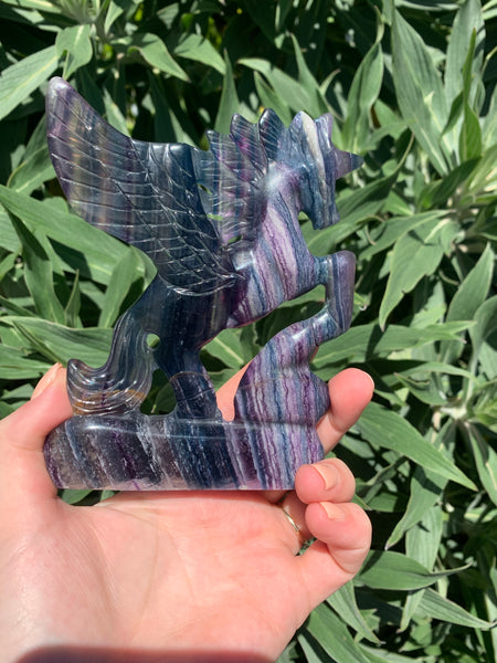 Rainbow Fluorite Pegasus