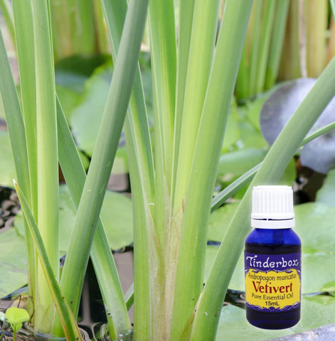 Vetivert Essential Oil 15mL