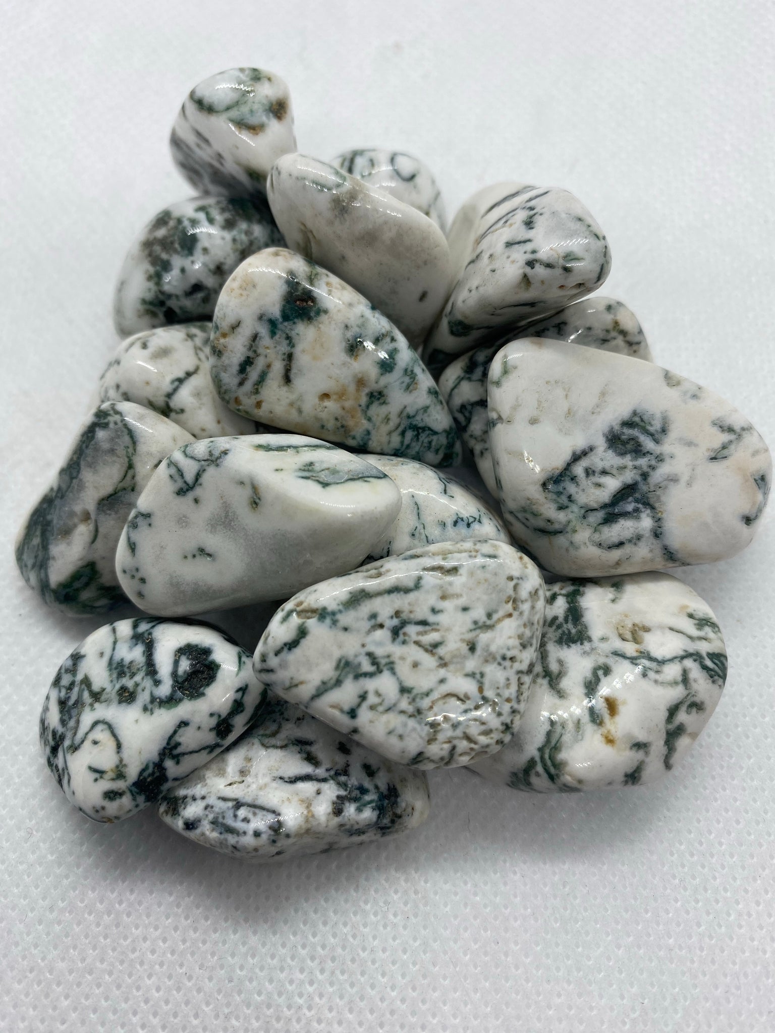 Tree Agate Tumbled