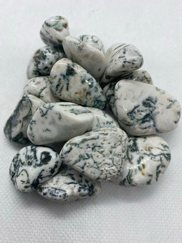 Tree Agate Tumbled