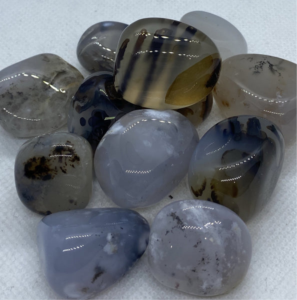 Dendritic Agate Tumbled