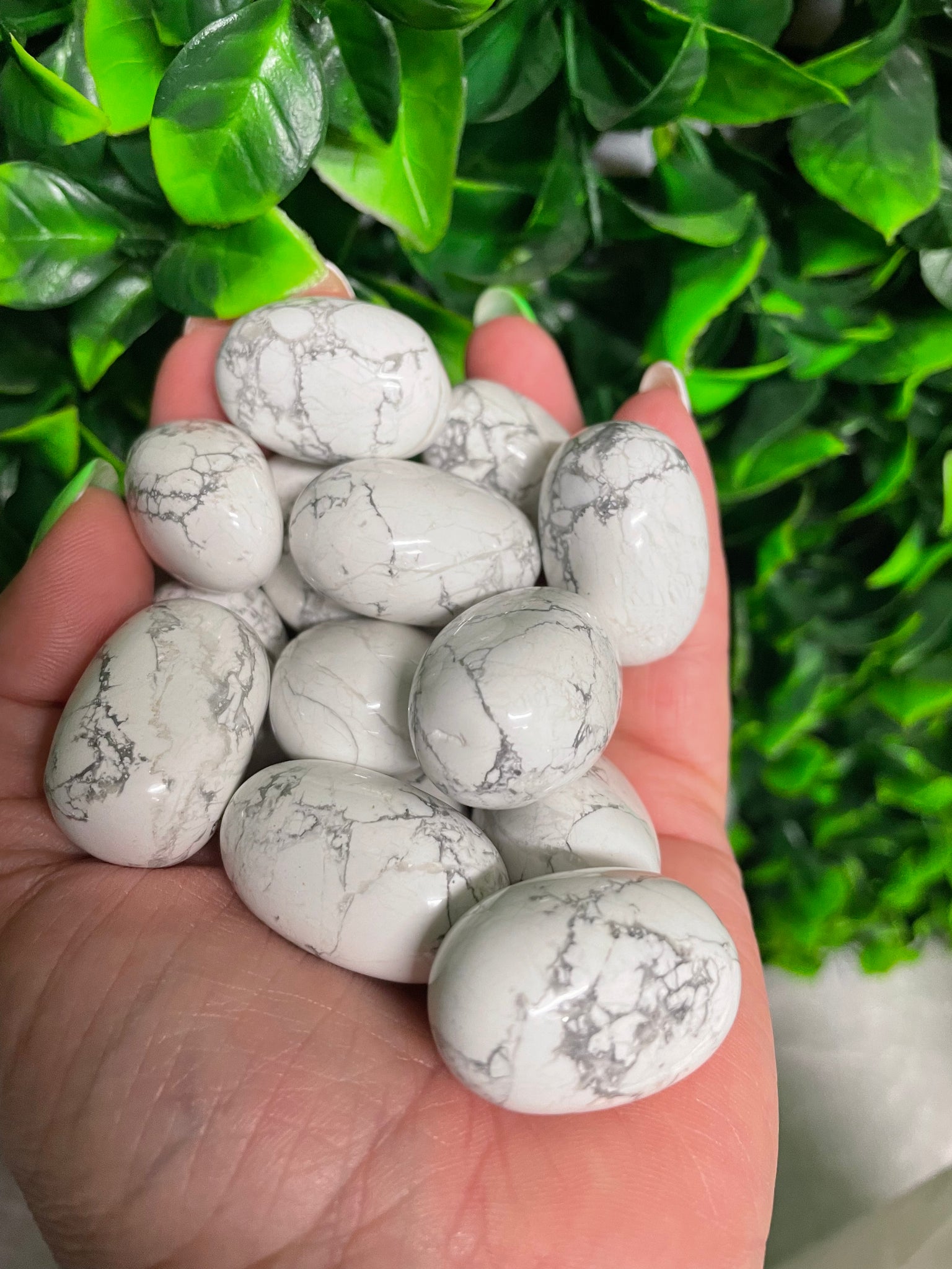 Howlite Tumbled
