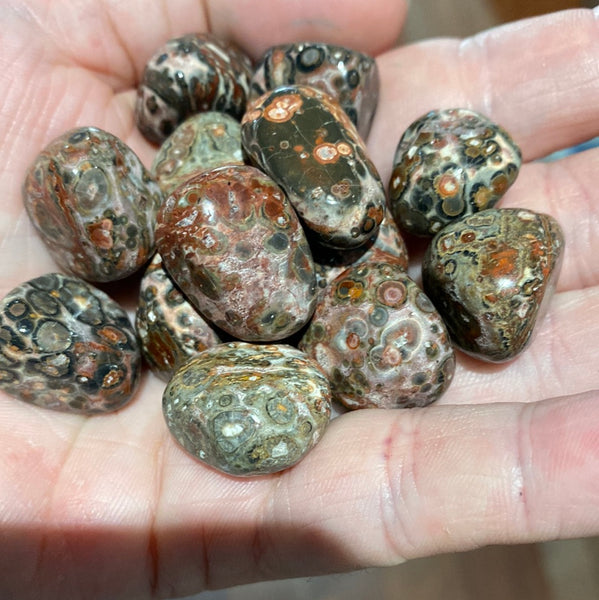 Leopardskin Jasper Tumbled