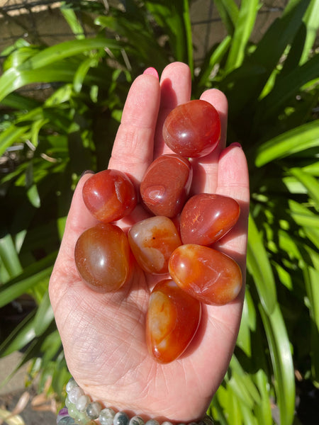 Red Carnelian Tumbled