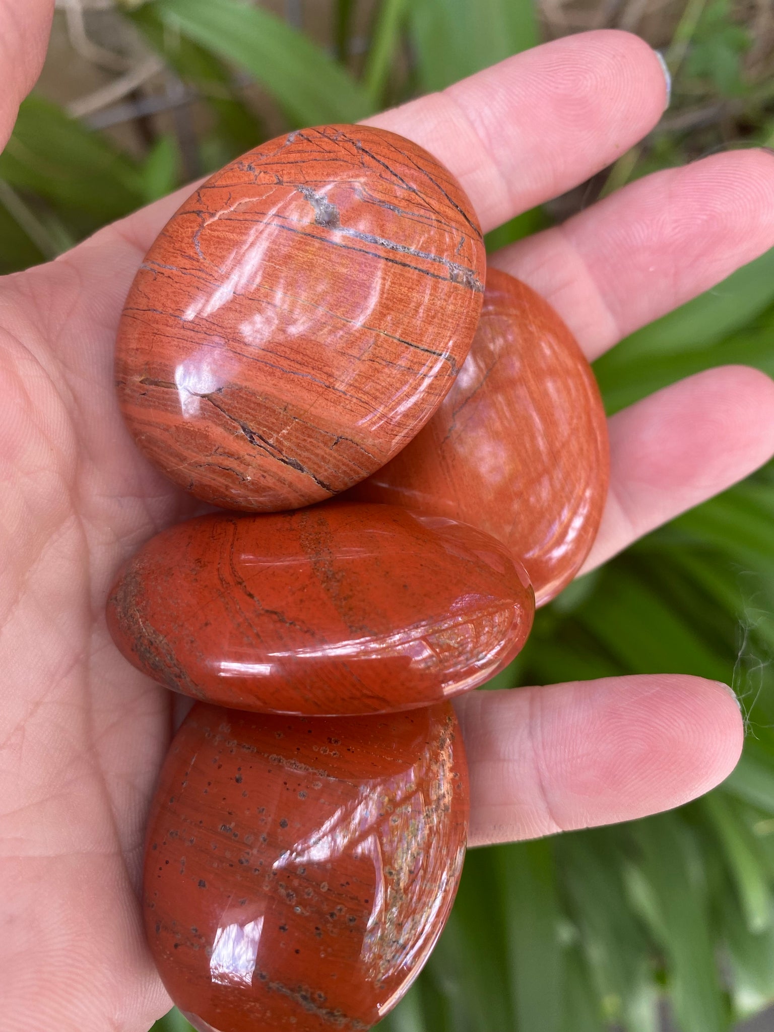 Snakeskin Jasper Palm Stone
