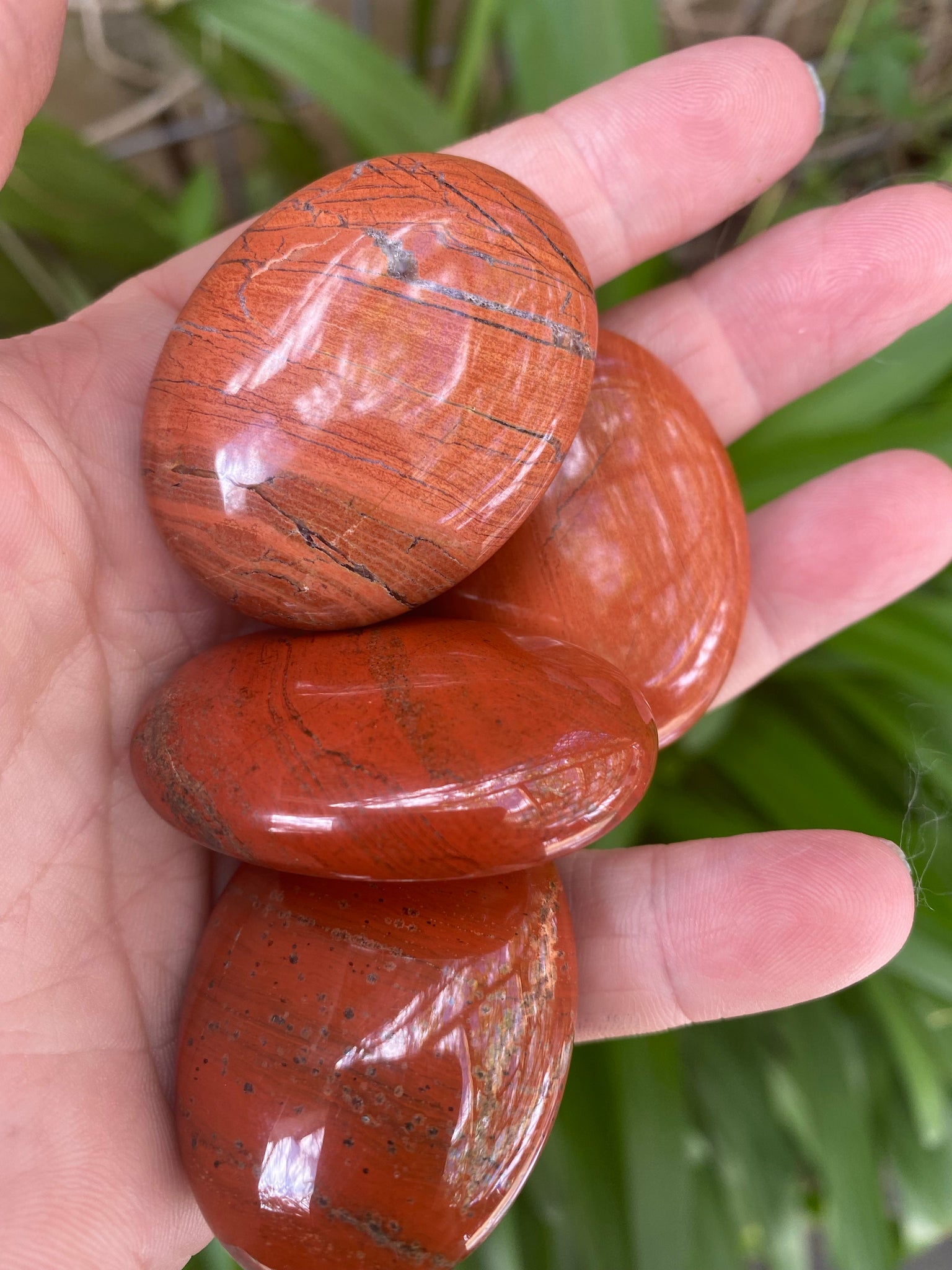 Snakeskin Jasper Palm Stone