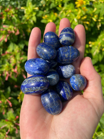 Lapis Lazuli Tumbled