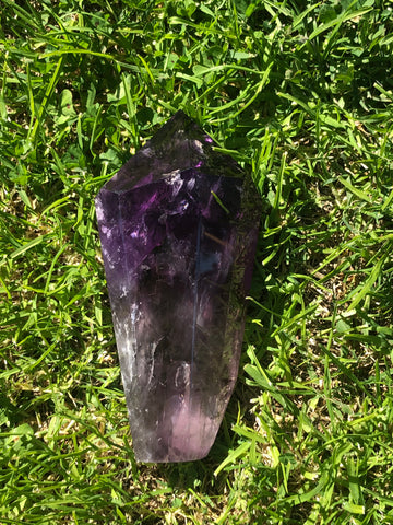Large dog tooth amethyst