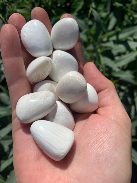 Scolecite