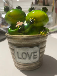 Frog in a pot
