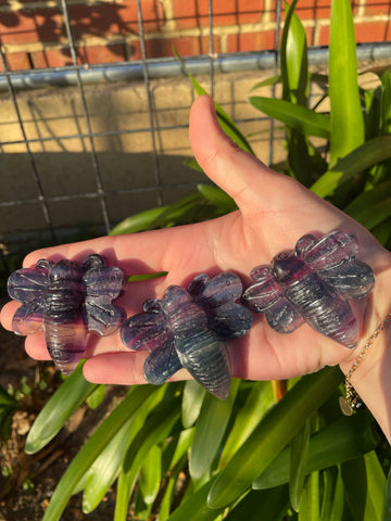 Rainbow fluorite bee carving
