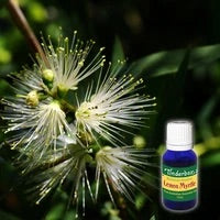 Lemon myrtle essential oil