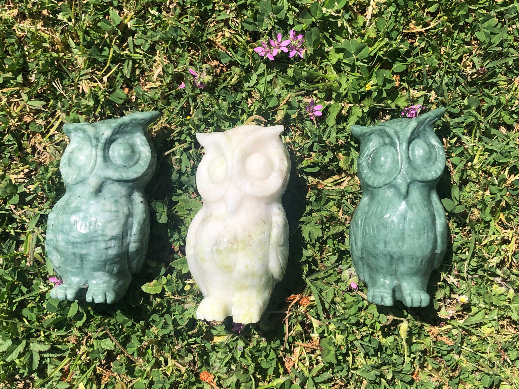 Jade owl