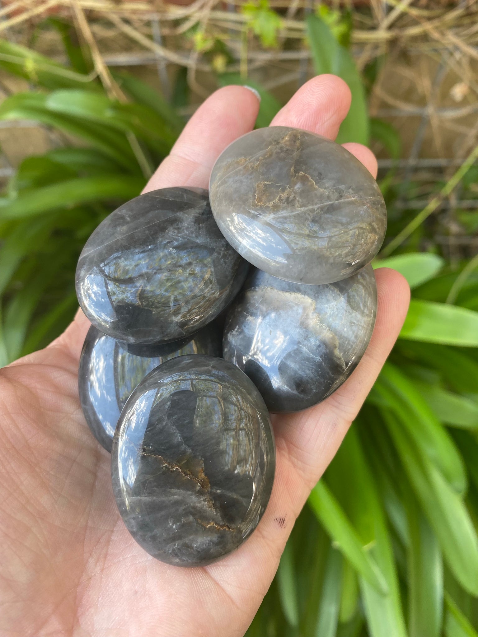 Black Moonstone Palm Stone