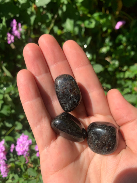 Arfvedsonite Tumbled
