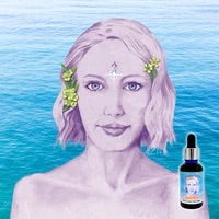 Everlasting Face Nectar