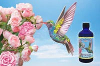 Serenity Massage Oil