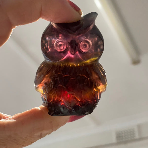 Fluorite Owl